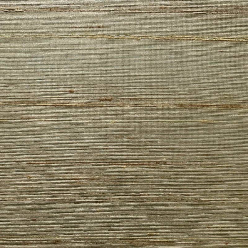V'002-16042 SILK WALLPAPER $60/yard