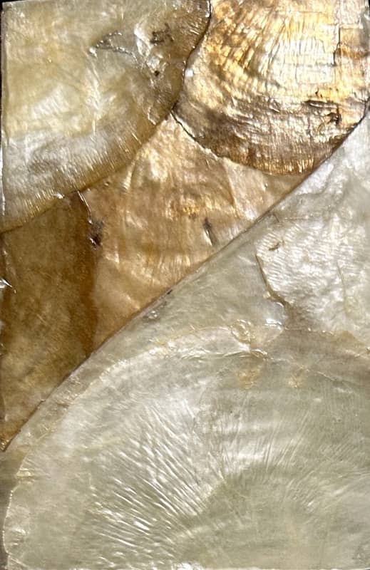 V3007-BK SEASHELL TILE WALLCOVERING