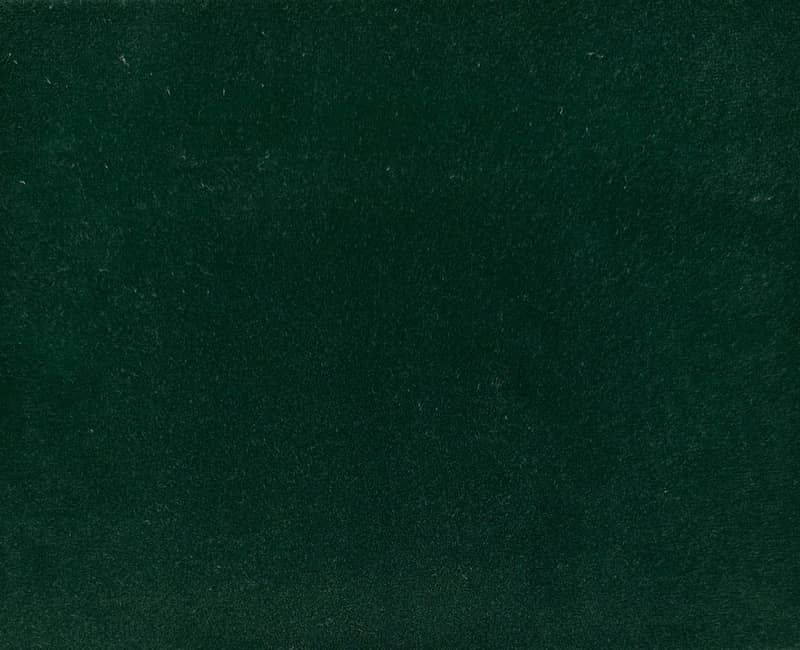 V282326EF VELWET WALLPAPER $110/yard
