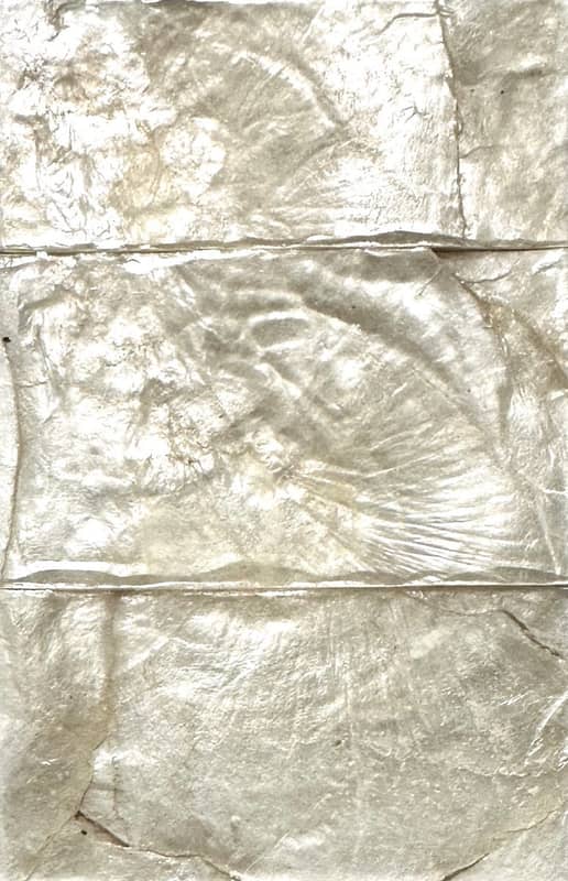 V3020-BK SEASHELL TILE WALLCOVERING