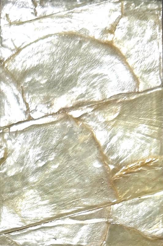V3024-BK SEASHELL TILE WALLCOVERING