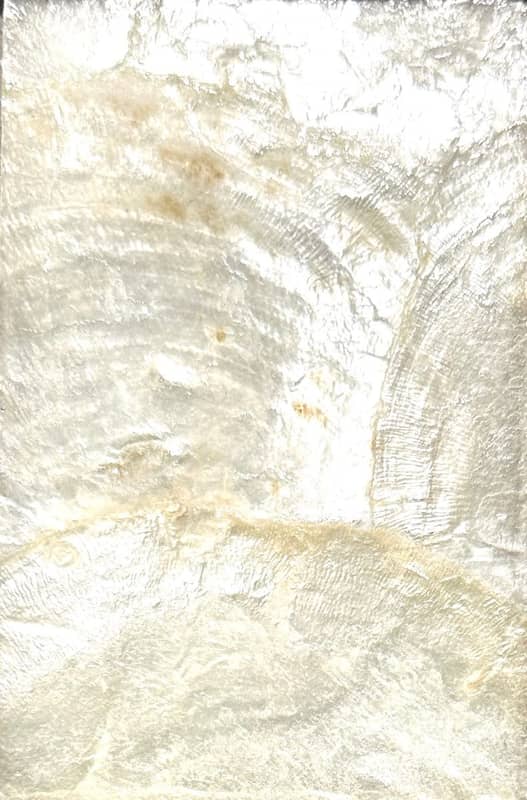 V3025-BK SEASHELL TILE WALLCOVERING