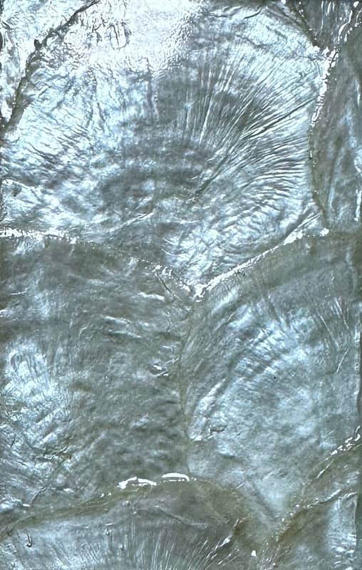 V3034-BK SEASHELL TILE WALLCOVERING